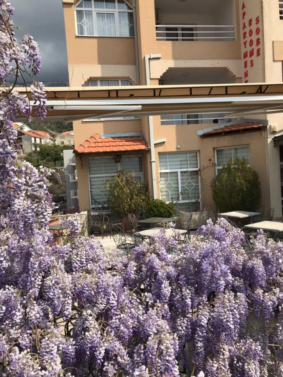 Guesthouse Villa Gaga Budva Extérieur photo